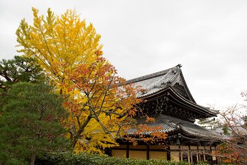 Discover Kyoto by Bike: Authentic Half Day Tour