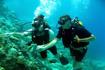 2-Day Tour from Luxor to Hurghada with Snorkeling