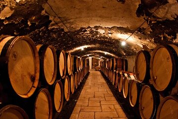 Champagne Region excursion from Paris with Private Driver