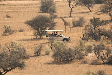 Game Drive Safari in Zambezi National Park of Victoria Falls