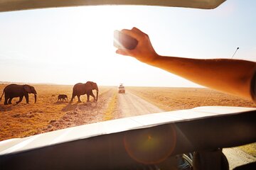 11 Days Tanzania Safari Zanzibar Beach and Victoria Falls Zambia