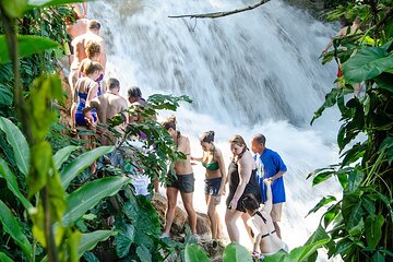 Private Dunn River Falls Tour From Negril