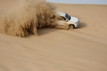 Half Day Desert Tour with Camel Ride