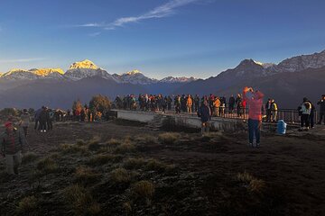 Ghorepani Poonhill Private Trek - 2 nights / 3 days