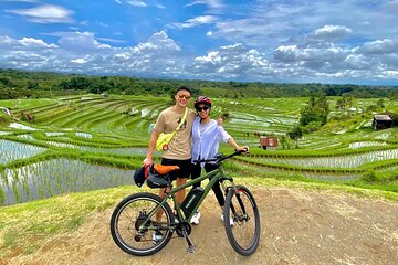 Jatiluwih in detail (1 h. e-bike tour in the rice terraces)