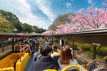 Tokyo: 70mins Open Top Sightseeing Bus with Audio Guide