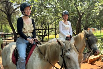 Horseback Safari & Cable Car Ride from Johannesburg 