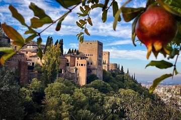 Private tour to the Alhambra and Generalife from Malaga