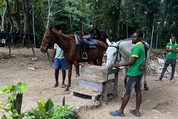 Horse back riding Dunnsriver falls climb from Montego Bay