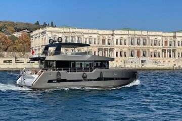 Private Bosphorus Tour On Catamaran in Istanbul