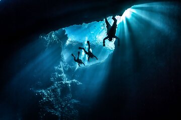 Half Day Private Scuba Diving Discovery from Valletta