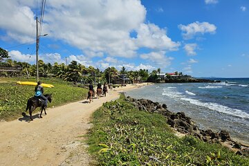 Roatan Horseback Riding, Zip Line Monkey/Sloths and Snorkel 