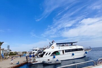 2 Dives a Comfy Boat for Certified Divers of Hurghada With Lunch