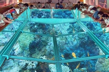 Glass Bottom Boat in Sharm El Sheik