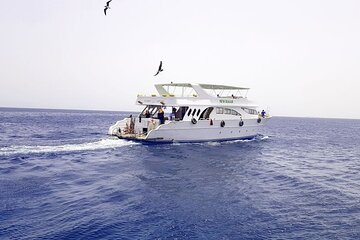 Marsa Mubarak Snorkeling Experience & Lunch – Marsa Alam