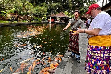 Ubud Monkey Forest Rice Terrace Temple Waterfall Private Tour