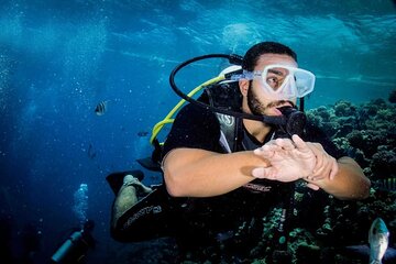 Scuba Diving for Beginner Two Boat Dives in Hurghada