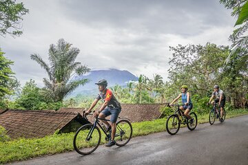 Mountain to Beach: Kaura Bali e-Bike Guided Tour with Lunch