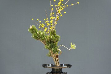 Fukuoka：Ikebana Experience with the Seiwa Goryu School