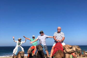 Private Tangier Tour and Camel Ride From Cruise Ship 