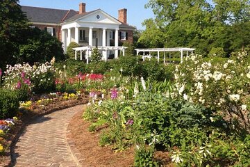 Day Trip to Charleston Tour #5: Bus Tour, Boone Plantation, Lunch and More