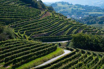 Private Tour of San Sebastian and Getaria with Txakoli Tasting