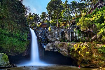 Bali Full-Day Tours : Waterfall and Ubud Destination Trip