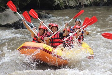 Ayung River Rafting in Ubud including Buffet Lunch