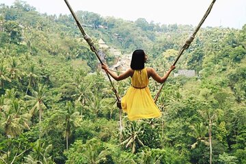 Bali Swing, Monkey Forest, Waterfall Tour