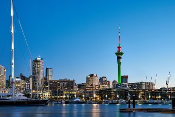 Auckland City Highlights and Hidden Gems Half Day Tour