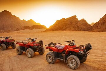 ATV Quad Bike Adventure - Camel Ride - Dinner Bedouin Show-Sharm 