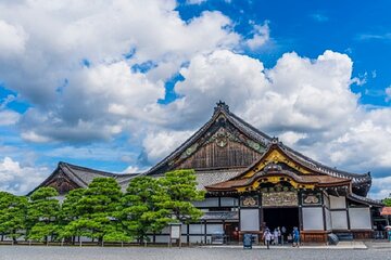 Private Full Day Kyoto Tour by Public Transport/Private Transport