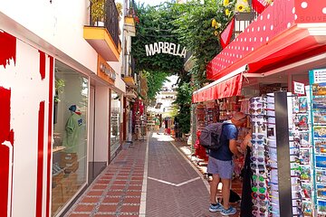 From Malaga: Private tour in Marbella