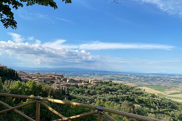 Day of Tastings in the Land of Super Tuscans from Lucca