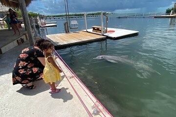 11 hr Private Tour to The Keys & Key West Islamorada Key Largo