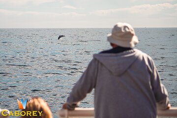 Whale Watching Experiencie with breakfast
