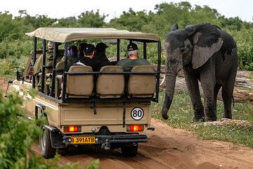 Full Day Chobe Safari - From Victoria Falls