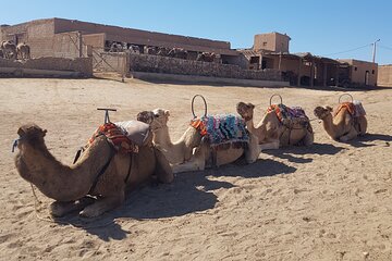 Private Excursion in the Agafay Desert