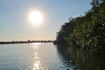 2-Hour Boat Tour in Quepos