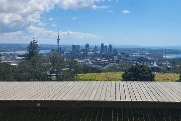  Auckland Best Top 5 Spots Half day Tour with small group