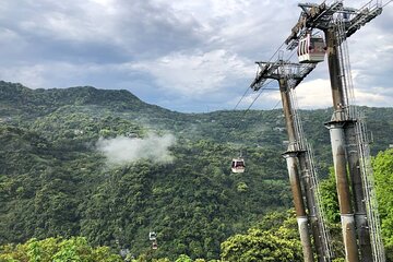 Pinglin Tea Culture & Maokong Day Tour from Taipei