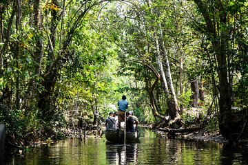 Half Day Village Houseboat Tour (from Cruise terminal in Kochi)