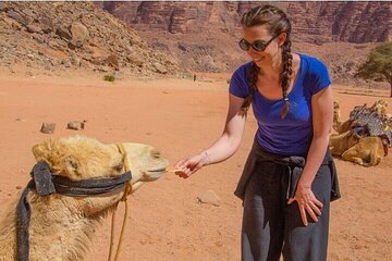 3 Day Group tour from Amman to Petra Wadi Rum Aqaba Dead Sea