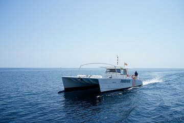 A Day at Sea on a Catamaran from Calpe or Altea with Barbecue