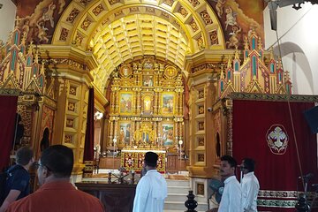 Private Tour to Kochi Suburbs Virgin Hot Spots: Free Pick & Drop