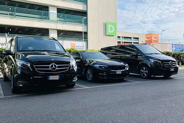 Malaga Airport (AGP) to Seville - Round-Trip Private Transfer