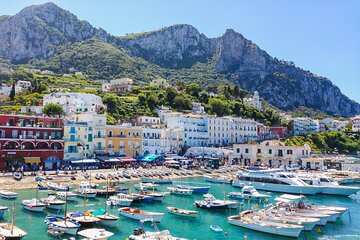  Sea and Land Small Group Capri Island Tour from Naples Main Port