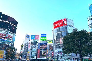 Private, personalized tour of Tokyo with a guide in Spanish