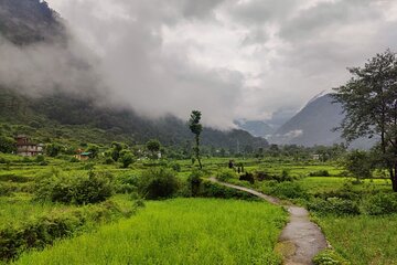 8 days Yoga and Trekking Retreat in the Indian Himalayas