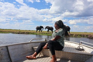 Full Day Chobe Safari Tour with Return Transfers